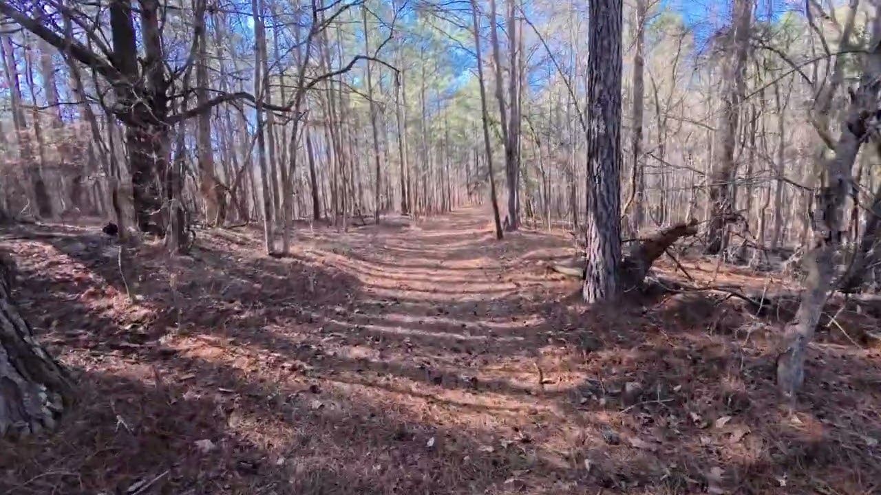 Insta 360 Ace Pro 2 Test