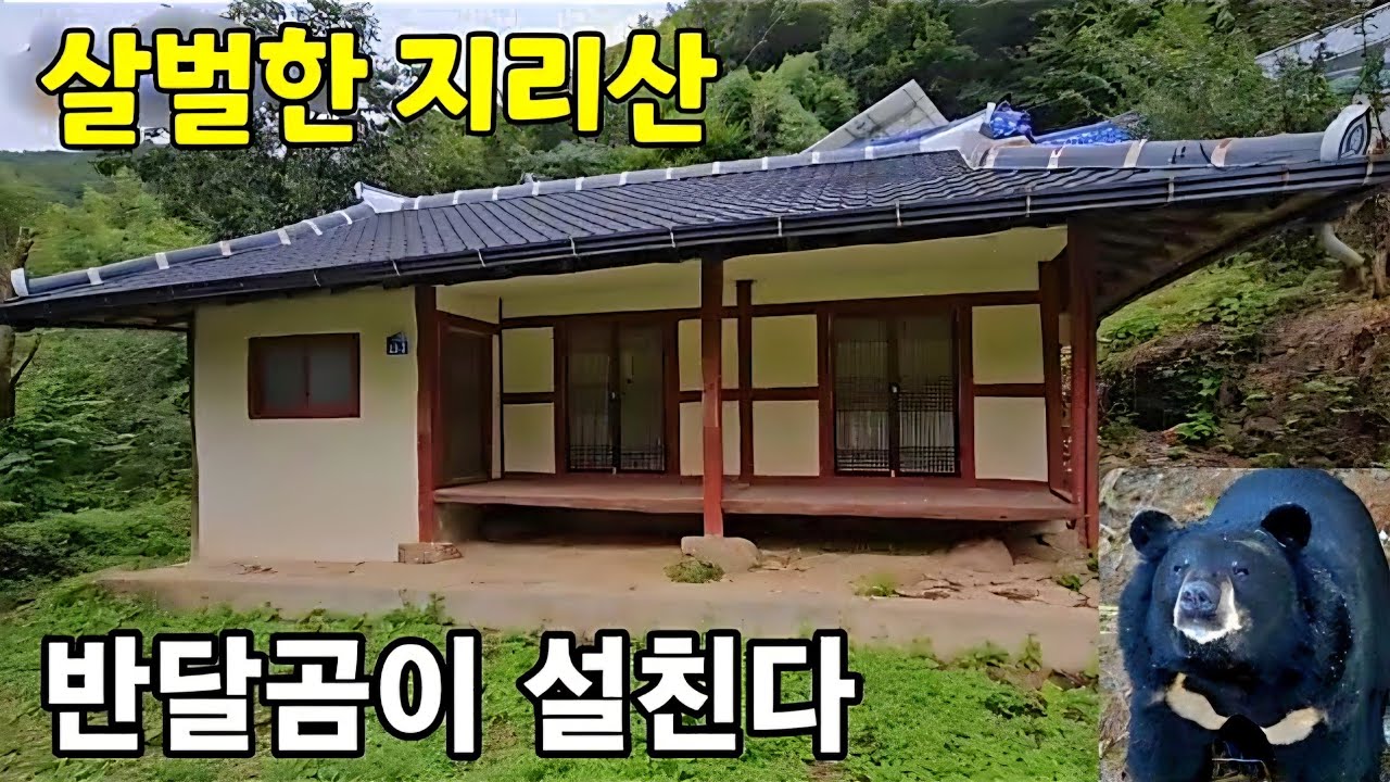 [다시보기] 지리산에 빈집 ♡ 배고픈 반달곰이 설친다