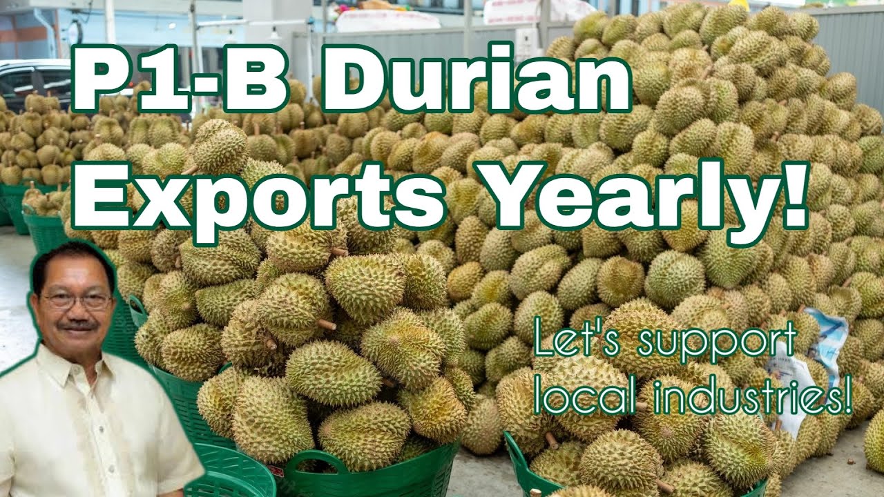 Durian Processing Facility provides jobs, income to 2,000 Filipinos!