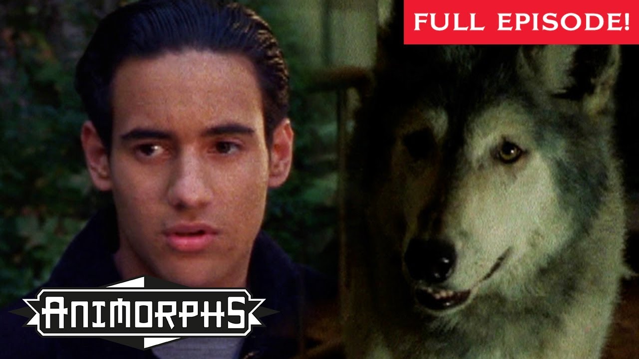 Battling Aliens with Animal Powers | The Forgotten | Animorphs | Scholastic Classic