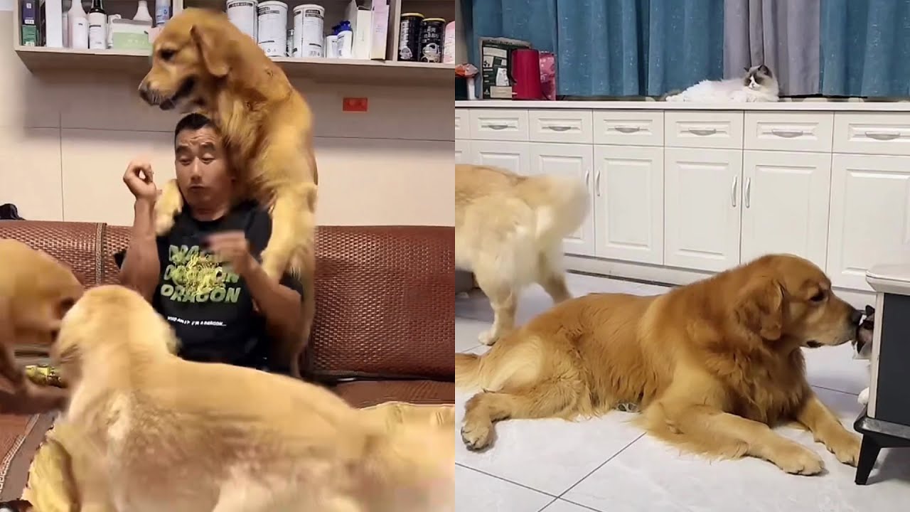 Маомао каждый день преподает урок плохому старику ❤️ 