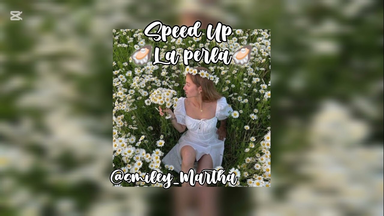 Speed Up la perla &uacute;senlo pliss🙏🏻🥺🦪🌈