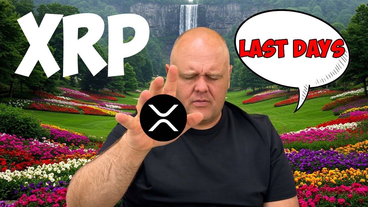 RIPPLE XRP ДЭВИД ШВАРЦ ПОДТВЕРДИЛ: ПРОРОЧЕСТВО БРЕНДОНА БРИГГСА О ЯСНОСТИ, Я НЕ МОГУ В ЭТО ПОВЕРИ...