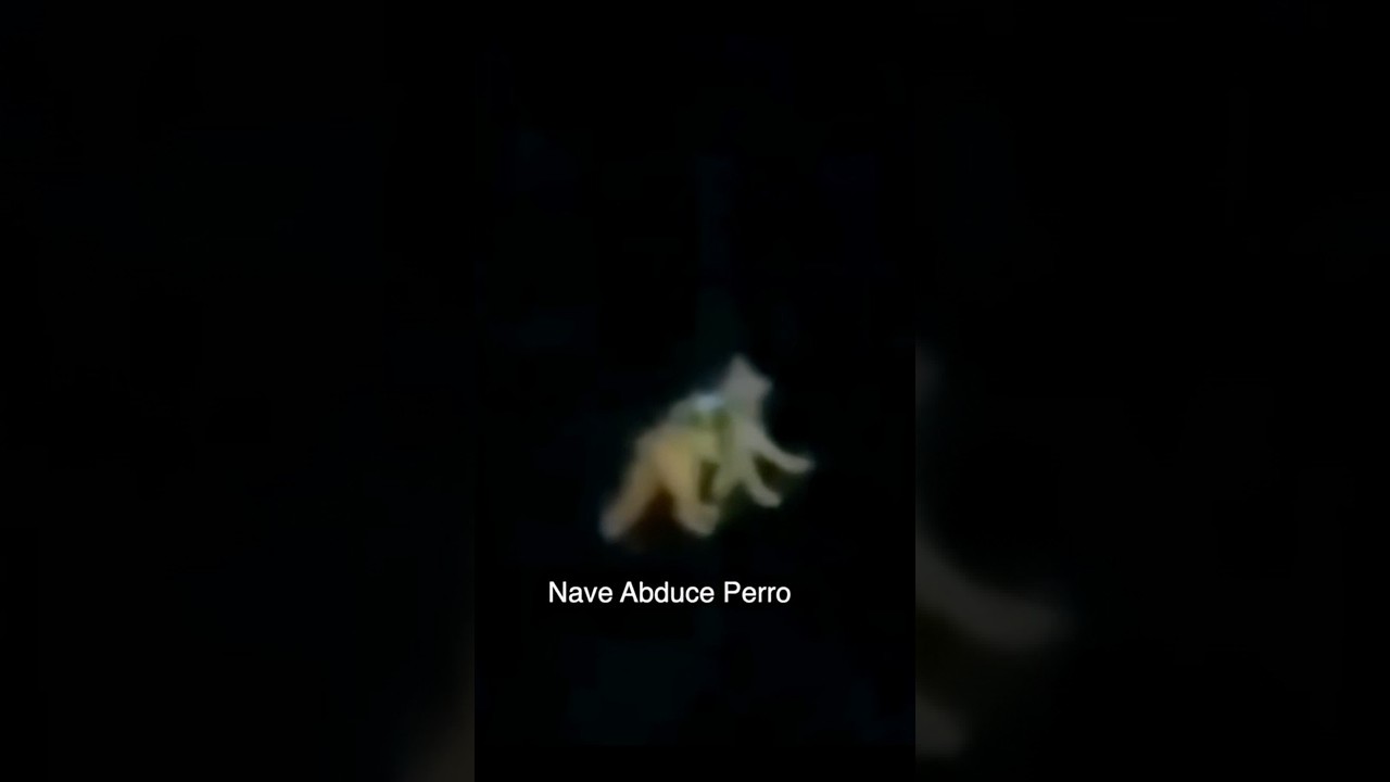 Abducci&oacute;n de perro Extraterrestre #aliens #terrorymisterio #extraterrestre  #uap #abduccion