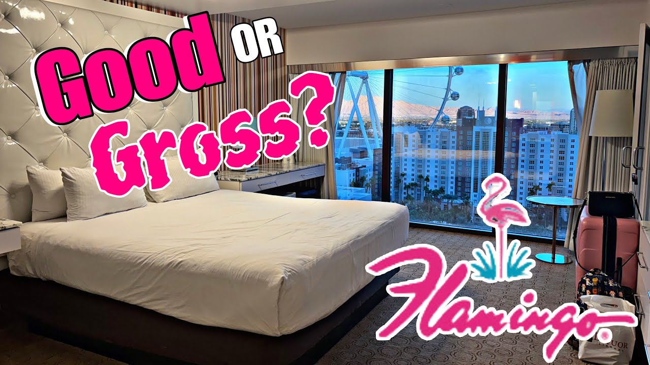 Я провел ночь в Flamingo Go Room, и вот правда