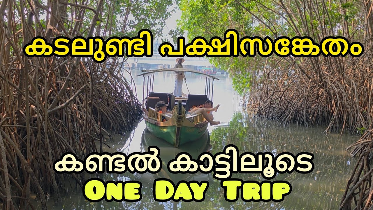 KADALUNDI BIRD SANCTUARY Ladies only one day Trip Part-1 #kadalundi #kozhikode #oneday #trip #birds 