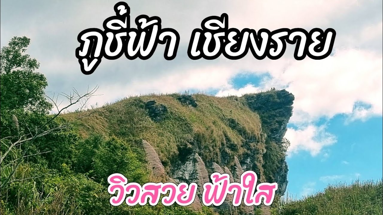เที่ยวภูชี้ฟ้า จ.เชียงราย วิวสวย ฟ้าใส #ภูชี้ฟ้า #PhuChifa  #เชียงราย