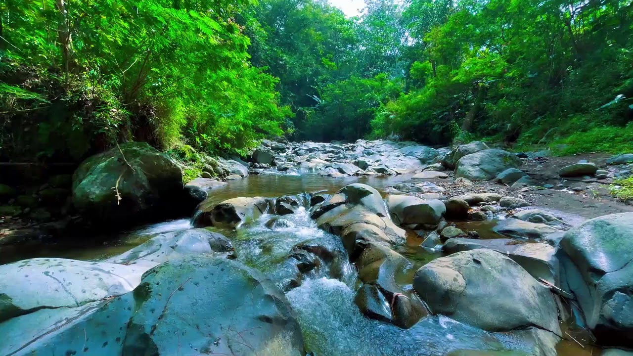 Beat Stress in Minutes to Deep Sleep with Rapids River Sounds Flowing Close-Up Over Natural Rocks