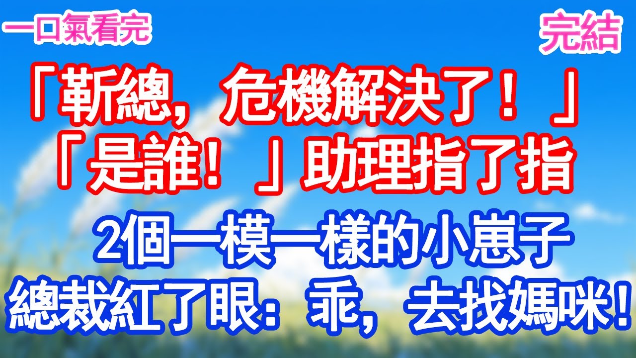 「靳總，危機解決了！」「是誰！」助理欲言又止，指了指2個一模一樣的崽子，總裁紅了眼：乖，我們去找媽咪！#愛情#甜寵文#爽文#故事分享