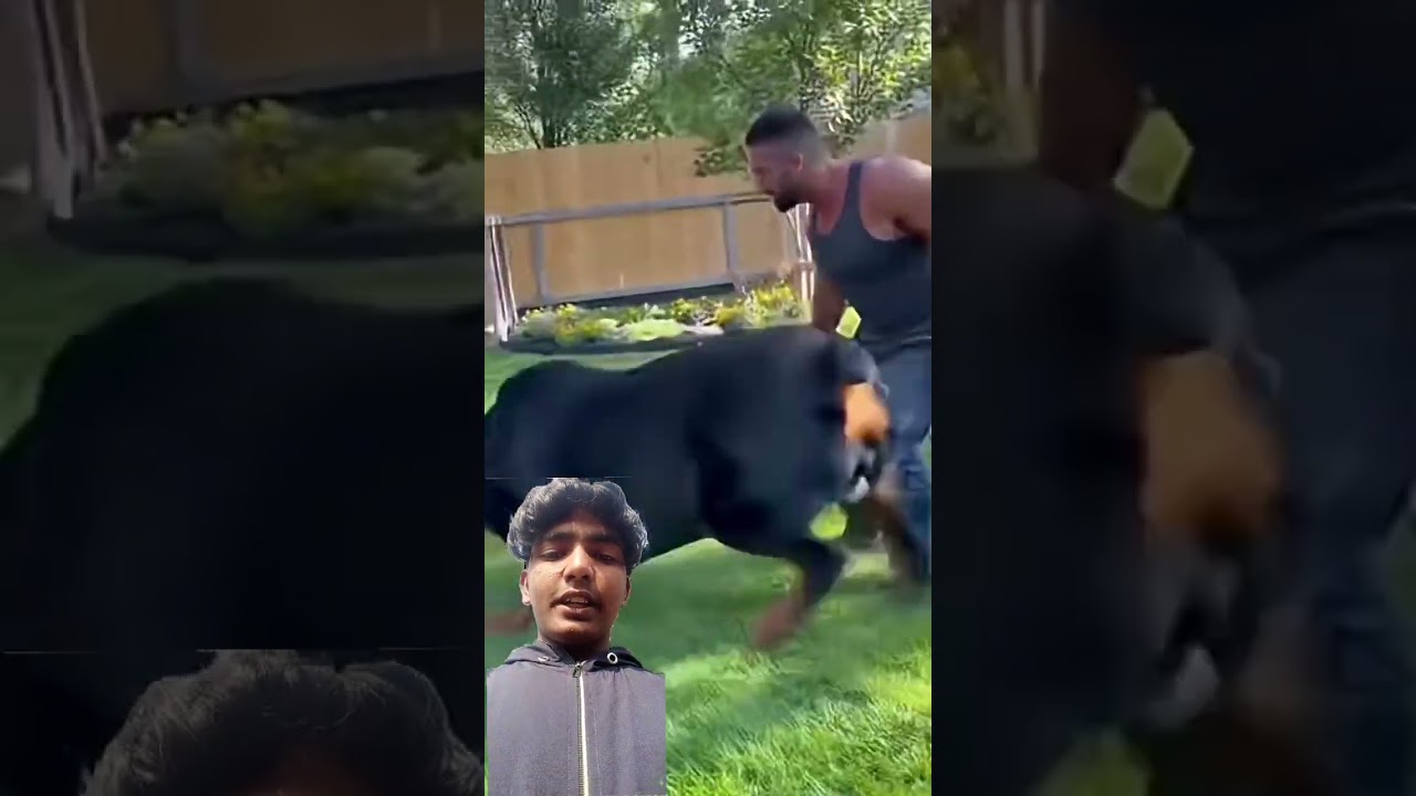 MONTAGEM COMA VIRAL SOUND ON YOUTUBE 2 