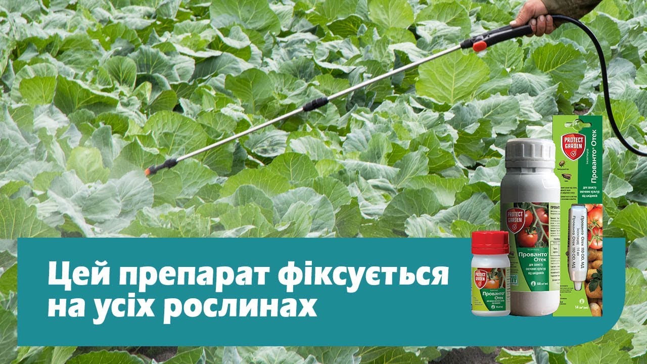 Захист №1 проти совок!