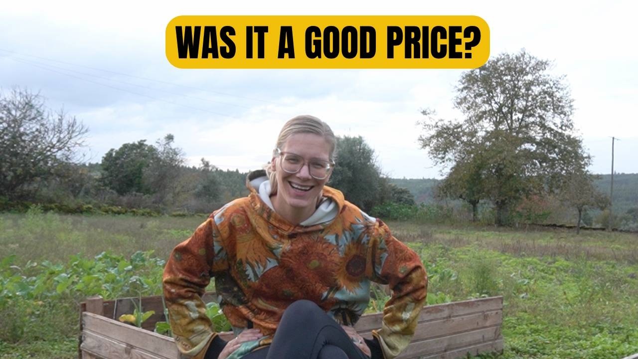 How much did I pay for my 6 bedroom house in Portugal?