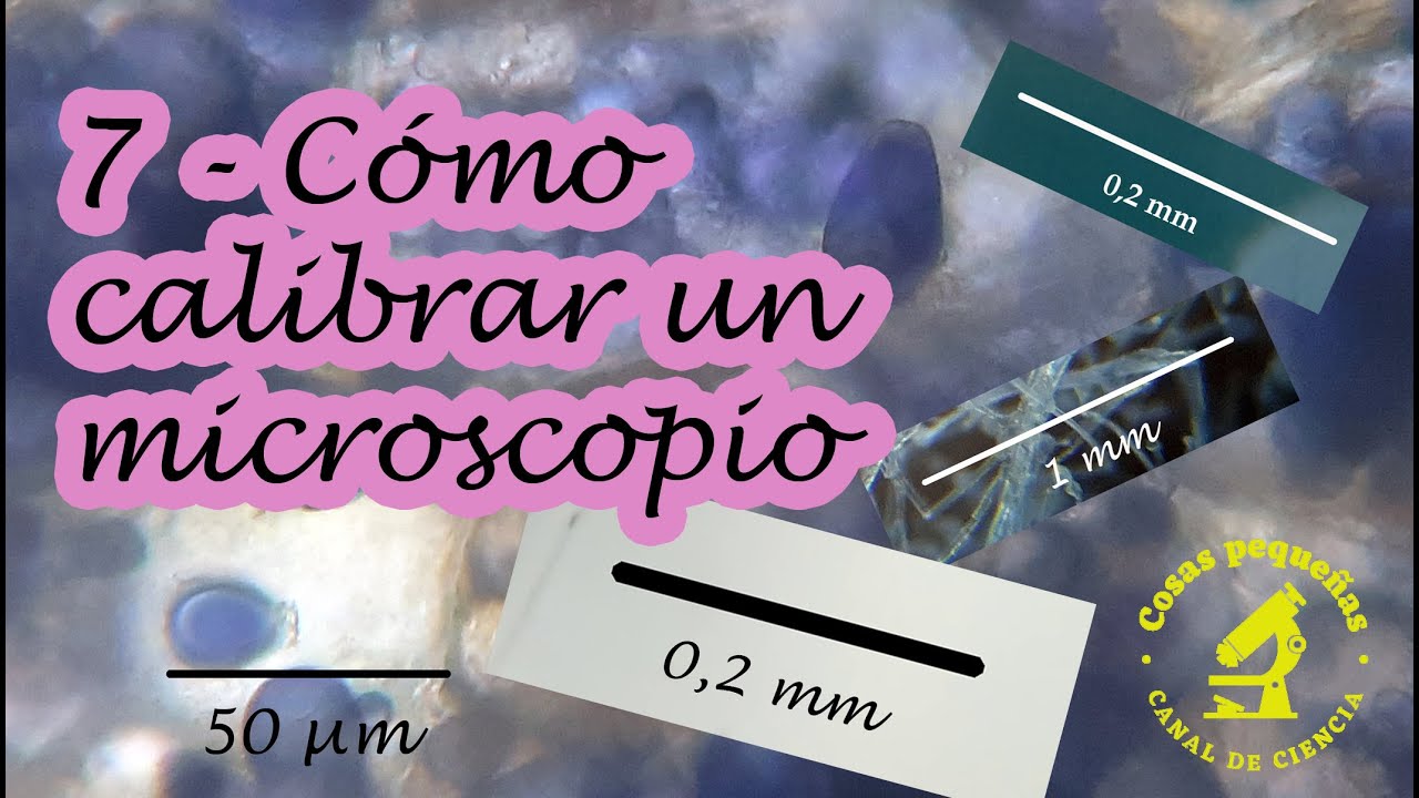 7   Cómo calibrar un microscopio