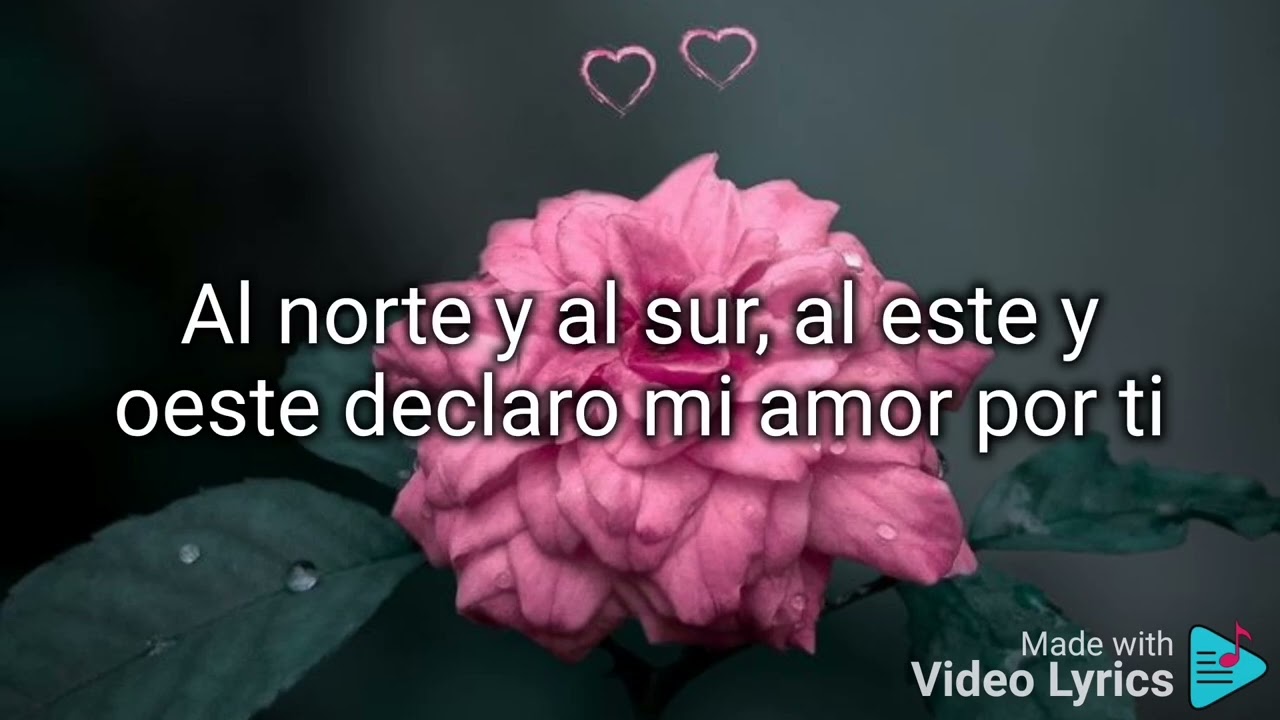 Un querer como el tuyo. (letra). llan Chester.