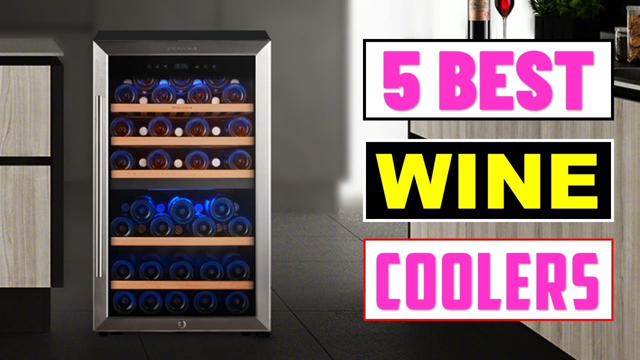 Top 5 Best Wine Cooler 2023 | Best Wine Fridge You Can Buy In 2023