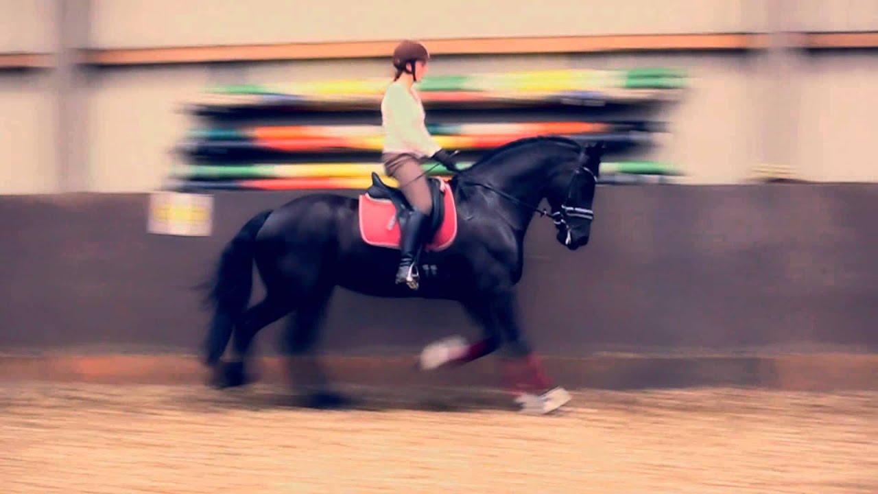 Ja, zu jedem deiner Fehler ♥