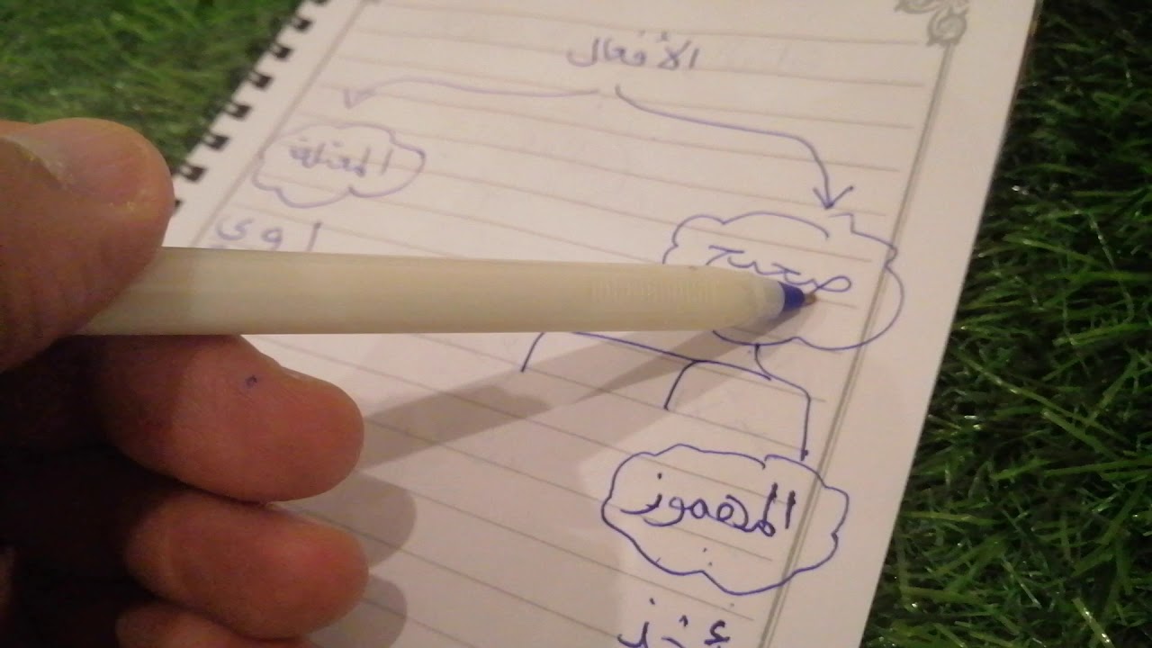 الأفعال الصحيحة و المعتلة الصنف اللغوي الصف الثاني المتوسط لغتي الخالدة