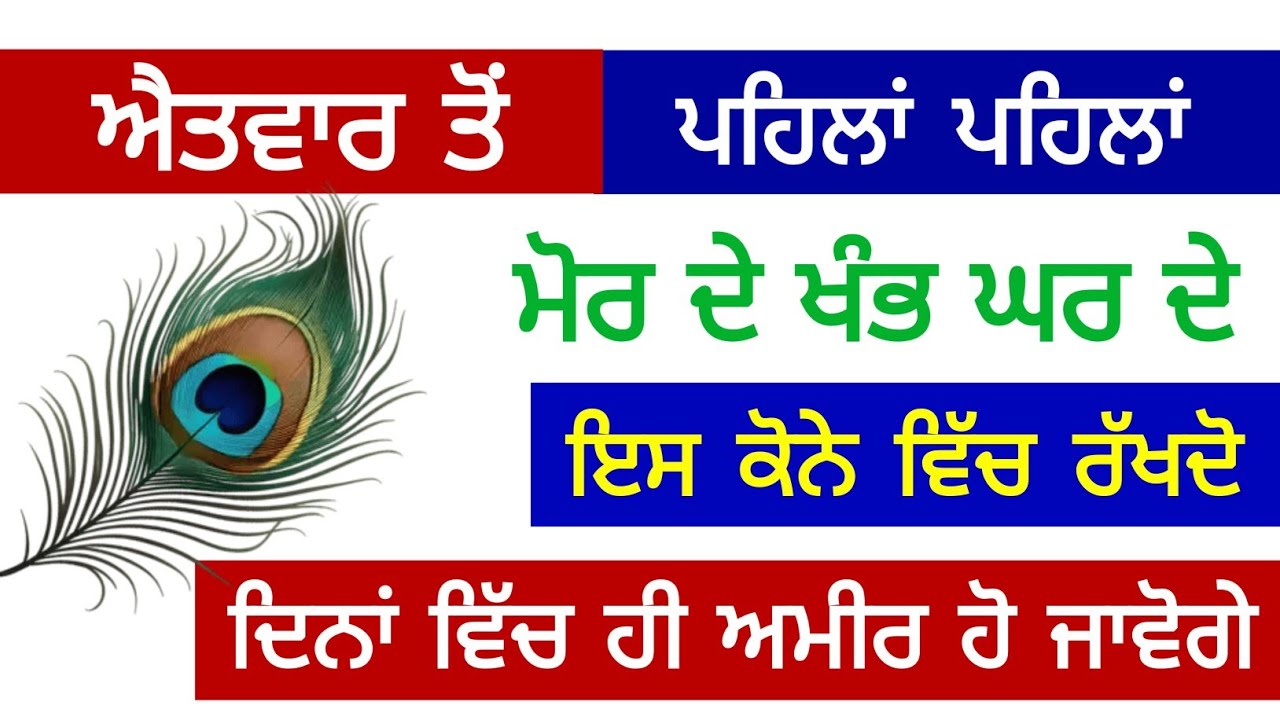ਐਤਵਾਰ ਤੋਂ ਪਹਿਲਾਂ ਪਹਿਲਾਂ ਮੋਰ ਦੇ ਖੰਭ ਘਰ ਦੇ ਇਸ ਕੋਨੇ ਚ ਰੱਖਦੋ ਦਿਨਾਂ ਵਿੱਚ ਹੀ ਅਮੀਰ ਹੋ ਜਾਵੋਗੇ #gurbanikatha 