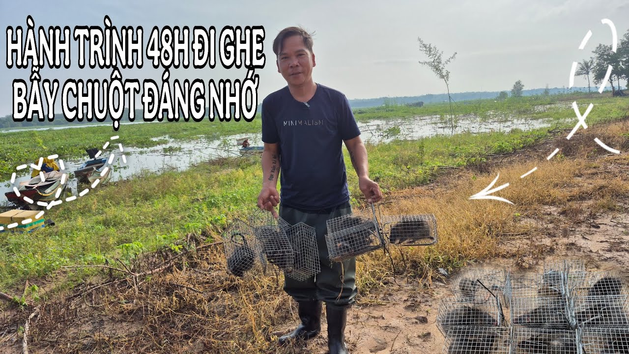 Hành trình 24g bẫy chuột cúm nhun | VINH MIỀN TRUNG | VIỆT NAM