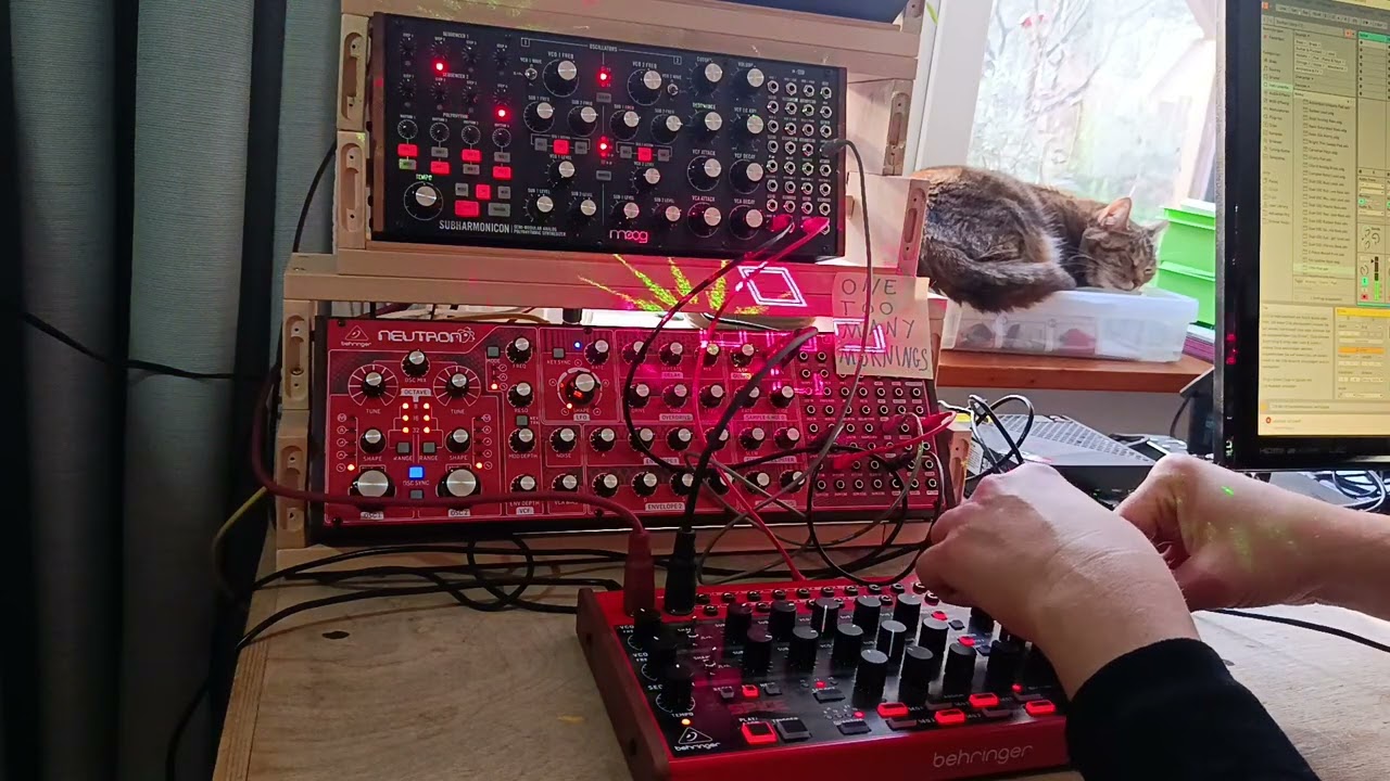Jamuary 2026 // Track 2 // Cat's ambient // Subharmonicon and Spice combined #jamuary2026 