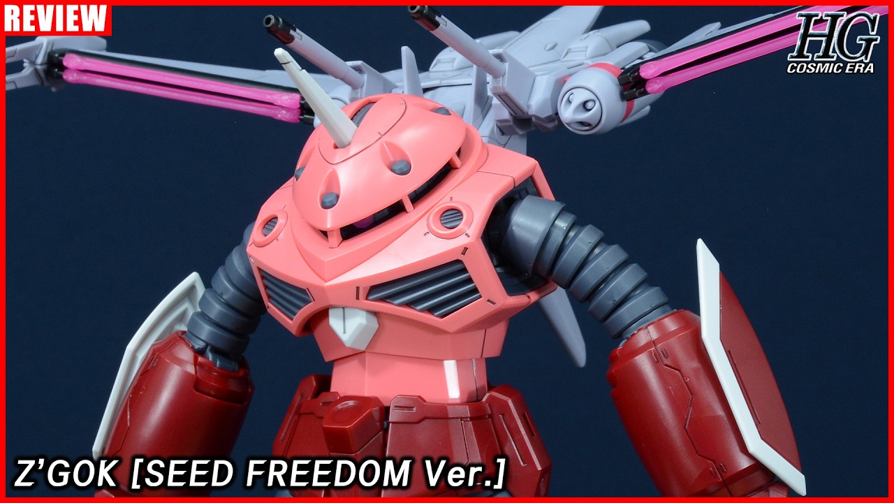 [CC] 역시 아스란 자라가 최강인가! - HGCE 1/144 즈고크 [SEED FREEDOM Ver.] [REVIEW]