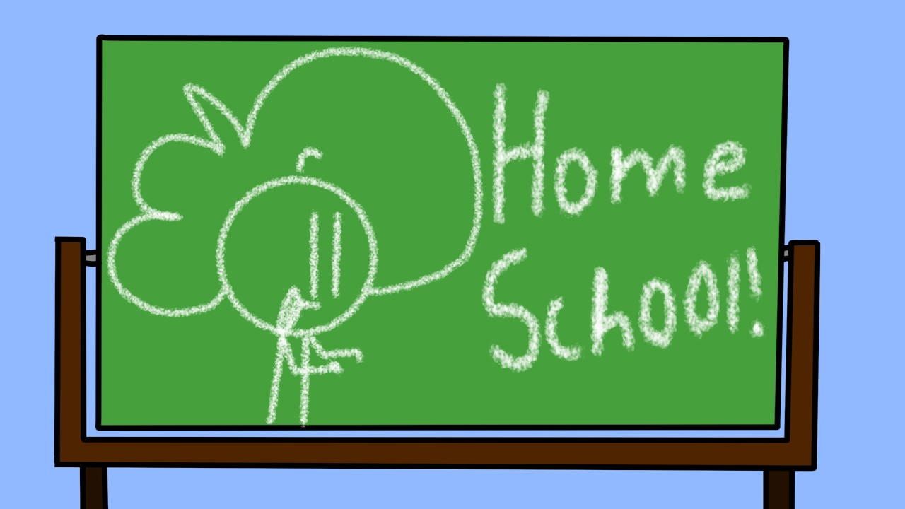 The Pros And Cons Of Being Homeschooled!