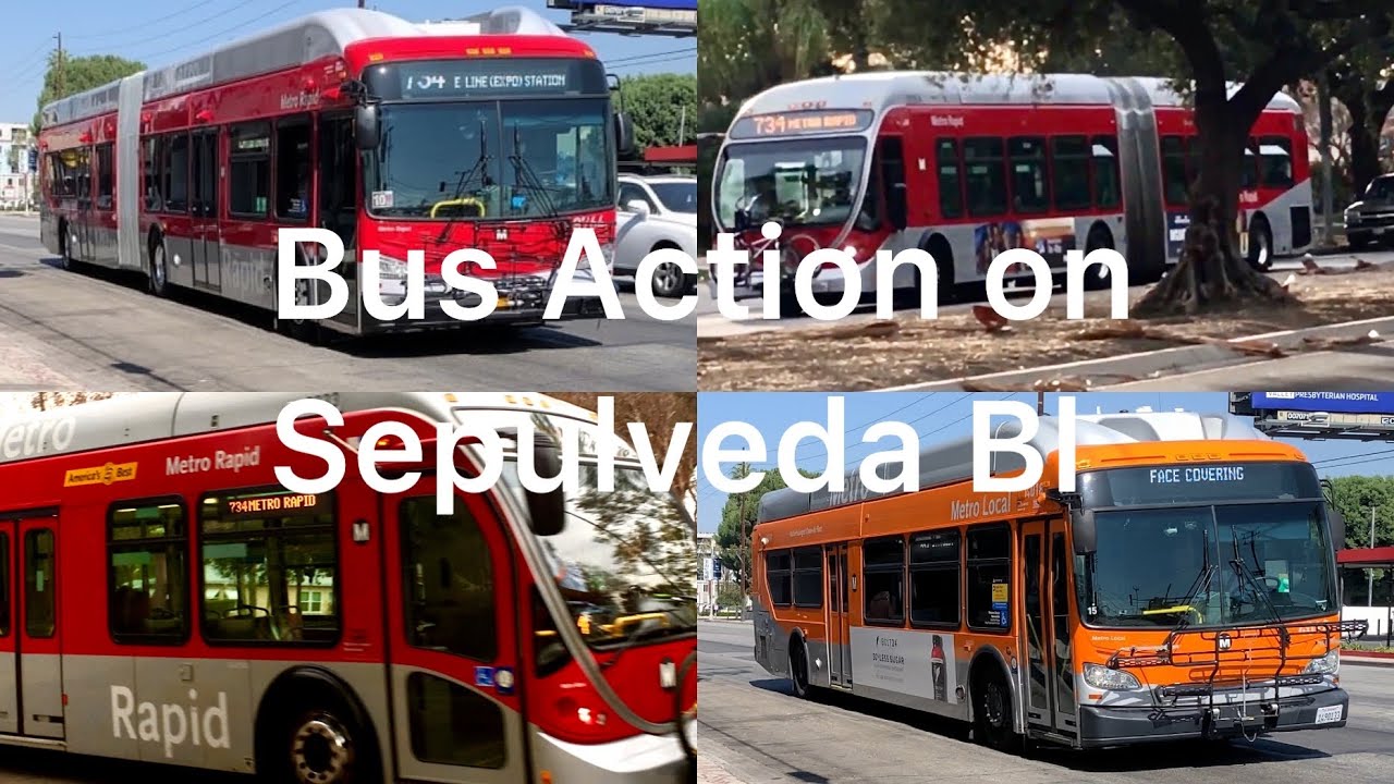 Bus Action on Sepulveda Blvd