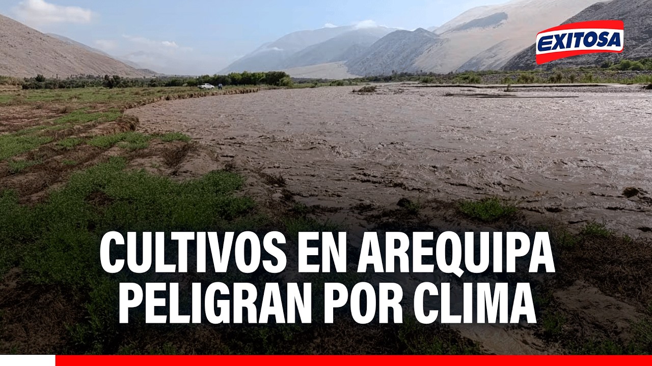 🔴🔵 La Victoria: Diligencias continúan en caso Lizeth Marzano