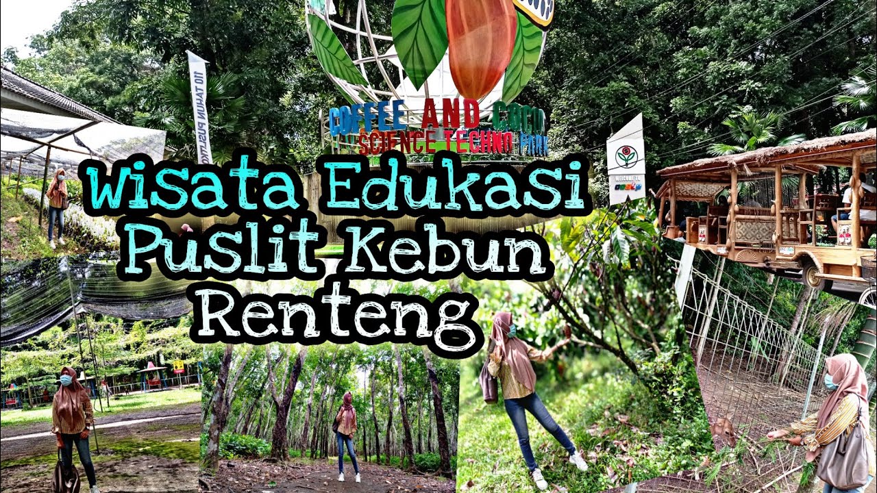 Wisata Edukasi PuslitKoka/CocoPark/Wisata Kebun Renteng Jember