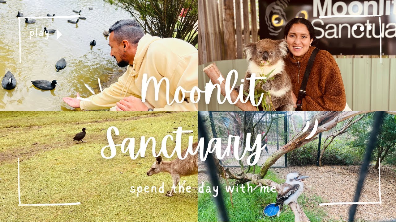 Moonlit Sanctuary Melbourne Wildlife Conservation Park