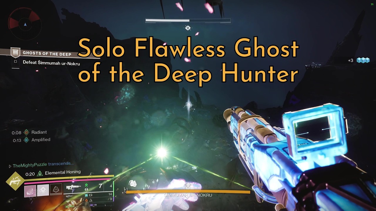 Ghost Solo Flawless Hunter