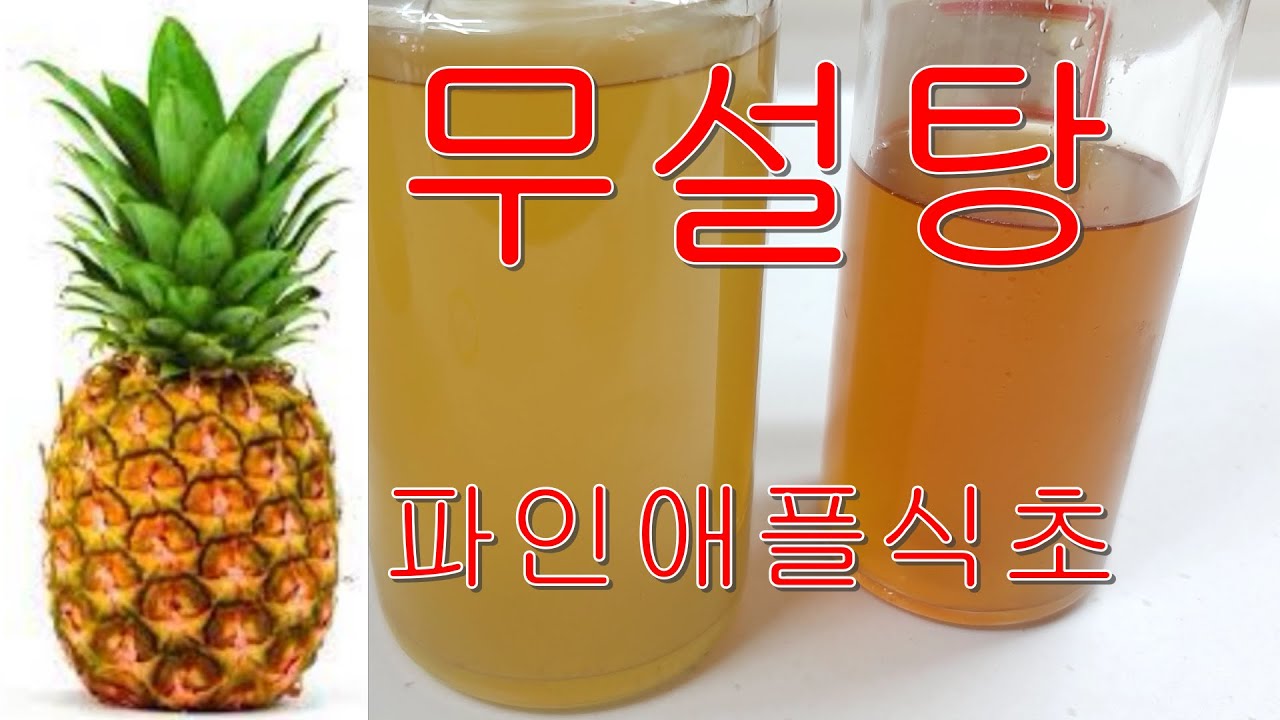 [무설탕 파인애플 식초만들기] 과연 어떤 맛일까?