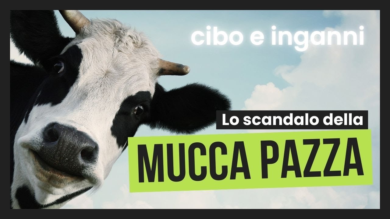 Il giorno in cui la carne è diventata un INCUBO - LA MUCCA PAZZA