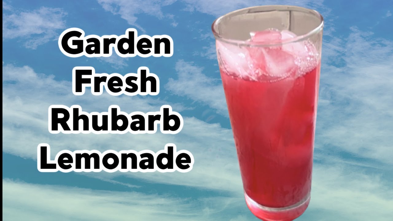 Homemade Rhubarb Lemonade | Garden to Glass