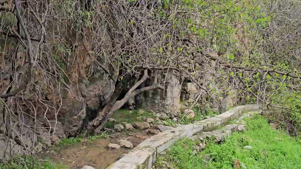 Rawanduz Gali Megre  ڕەواندوز گەلی مێگرێ