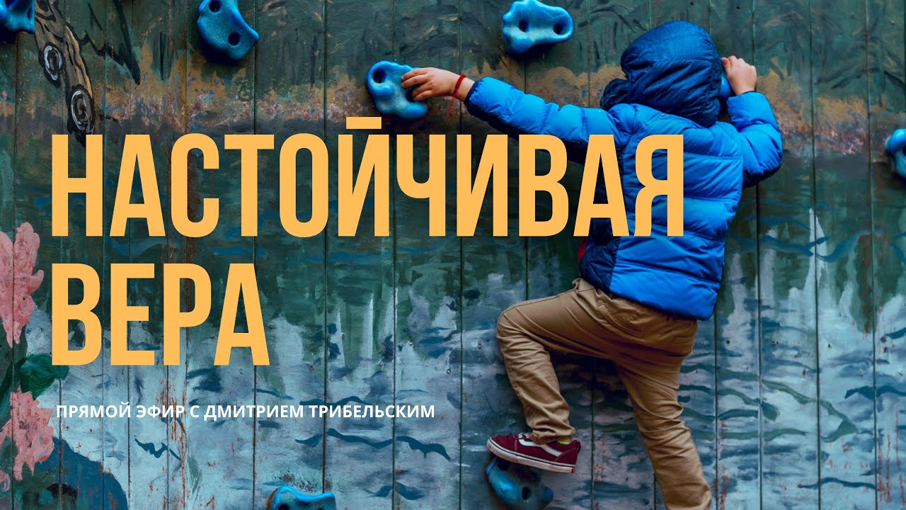НАСТОЙЧИВАЯ ВЕРА | Дмитрий Трибельский |прямой эфир