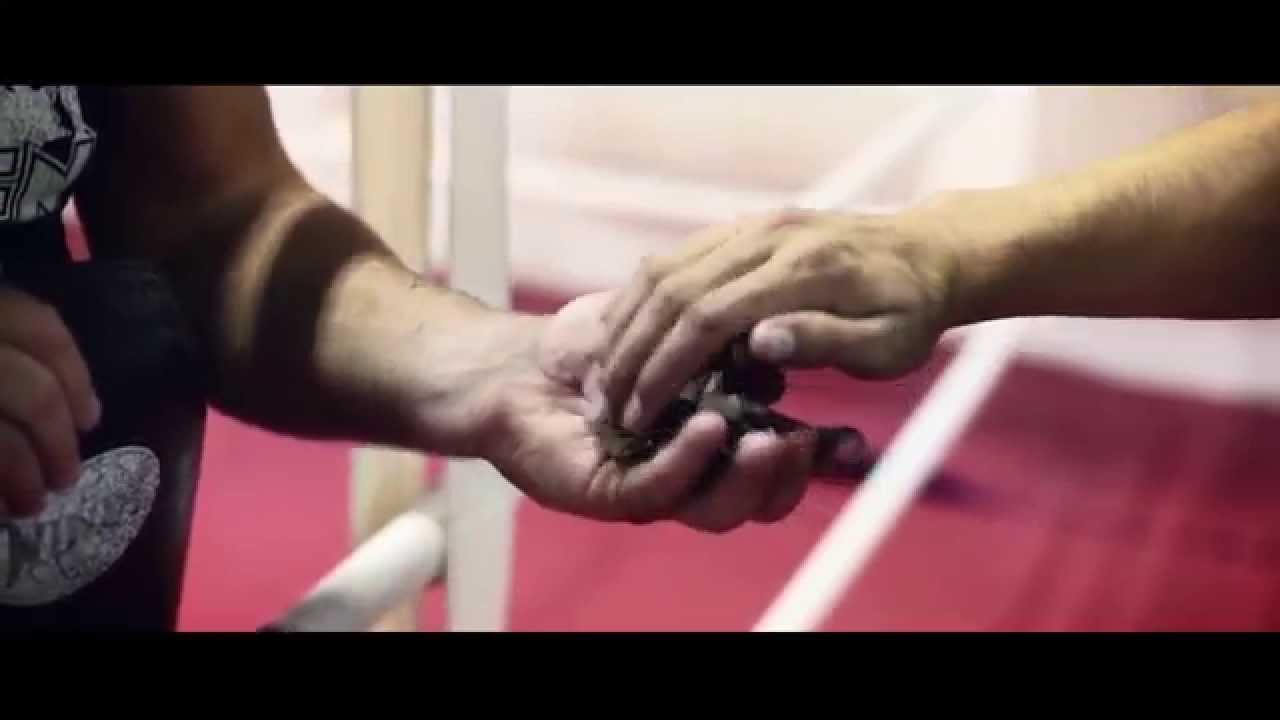 GLADIATOR &reg; Brand ► PromoVideo (Michal Nemtuda)