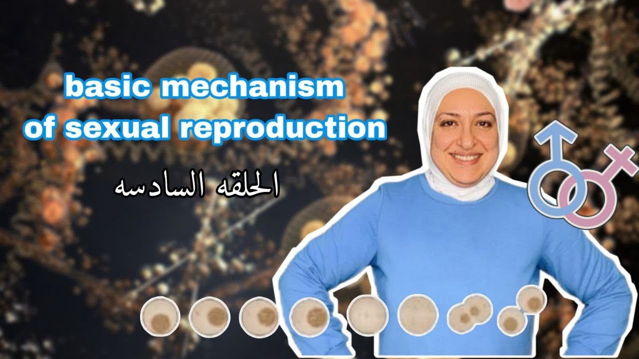 Episode 6 of chapter 1: Oogenesis versus folliculogenesis