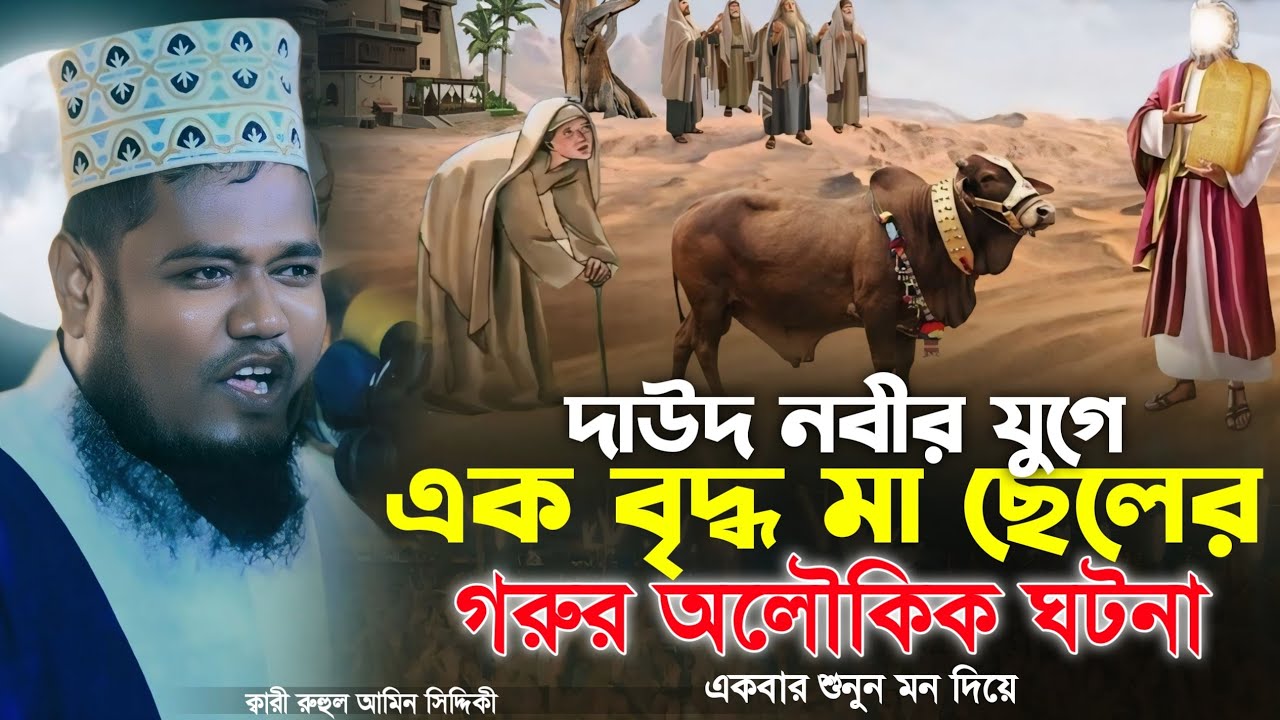 দাউদ নবীর যুগে এক বৃদ্ধ মা ছেলের গরুর অলৌকিক ঘটনা | ক্বারী রুহুল আমিন সিদ্দিকী | Ruhul Amin Siddiqui