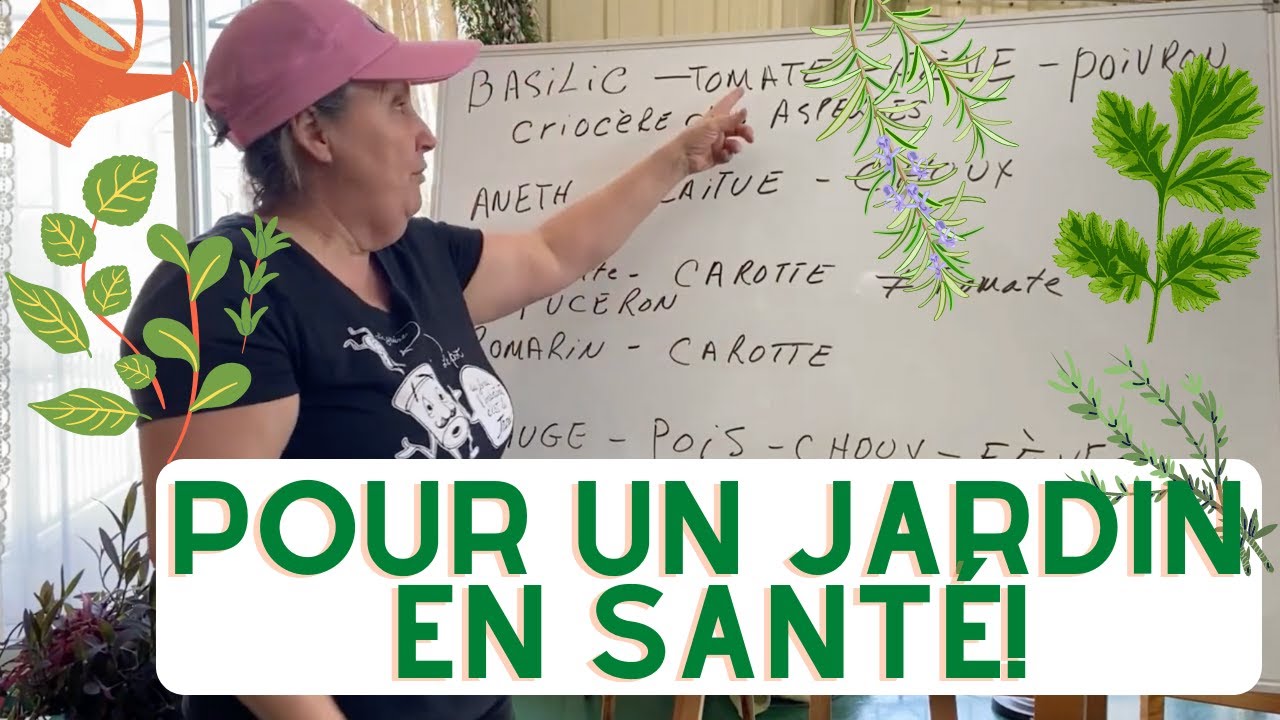Les fines herbes et le compagnonnage - Capsule horticole