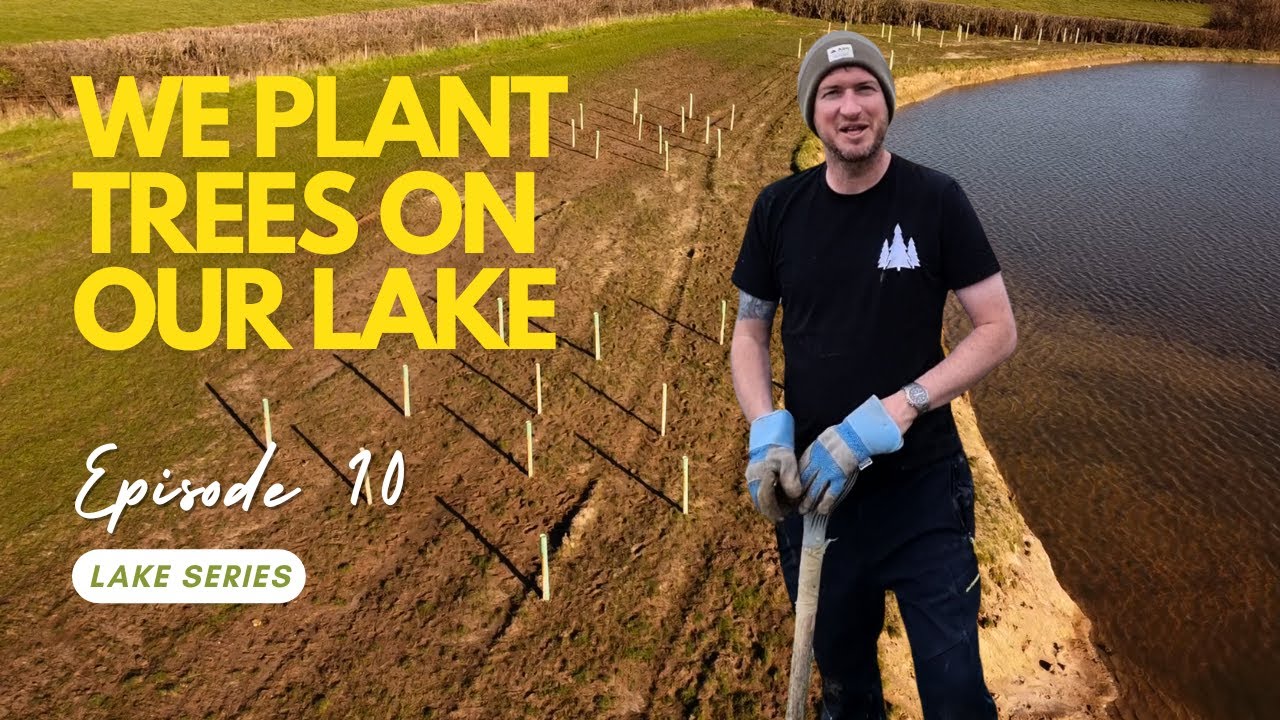 We Plant Trees On Our Lake
