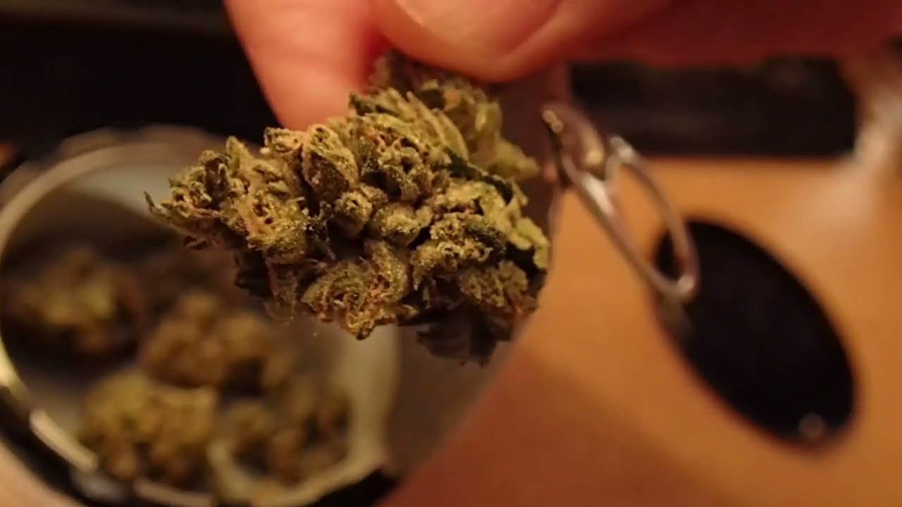 Poppin' Open a Fresh Can of Strawberry Grail (Strawberry Diesel x Holy Grail) From Cheers 🥫🍓🍬🙏🌸🌿👌💨💨