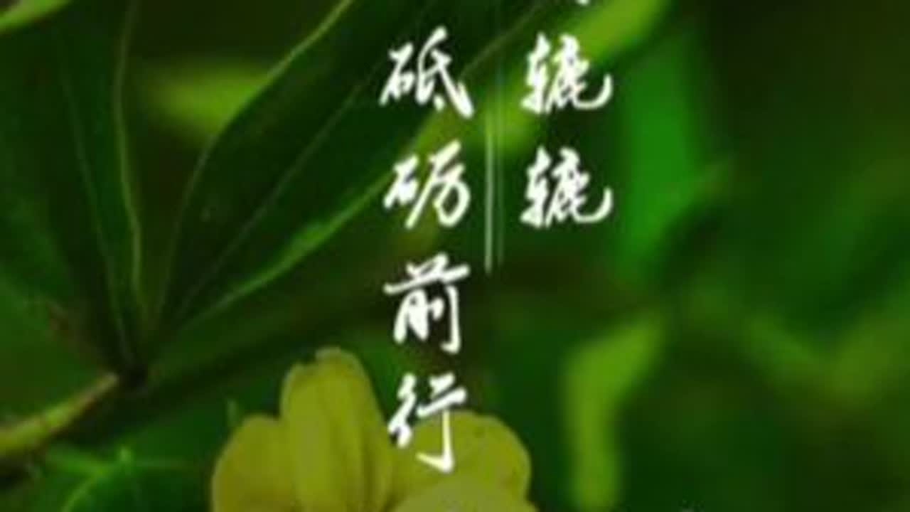 饥肠辘辘，砥砺前行，迎雨而行，皆为考验，今日达到百色市右江区平高钓鱼场。#徒步环旅中国 #云游四海 #大美中国 #广西之行 #百色市