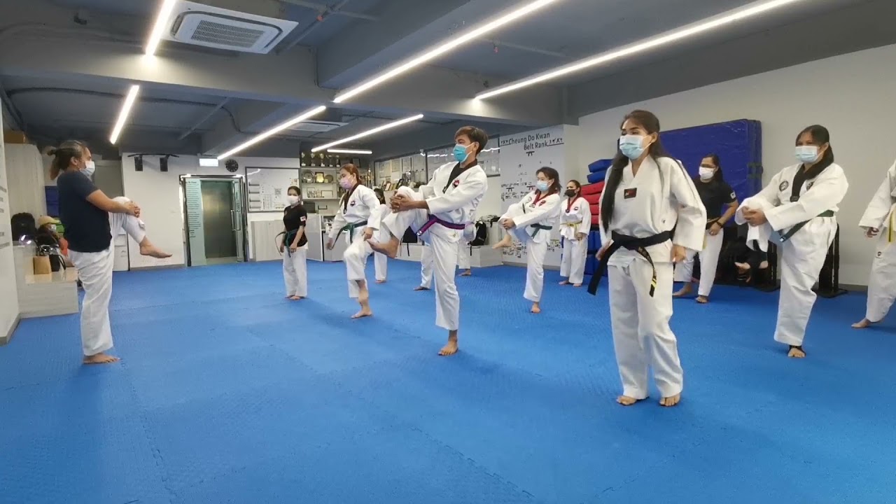 Basic Calisthenics for Taekwondo