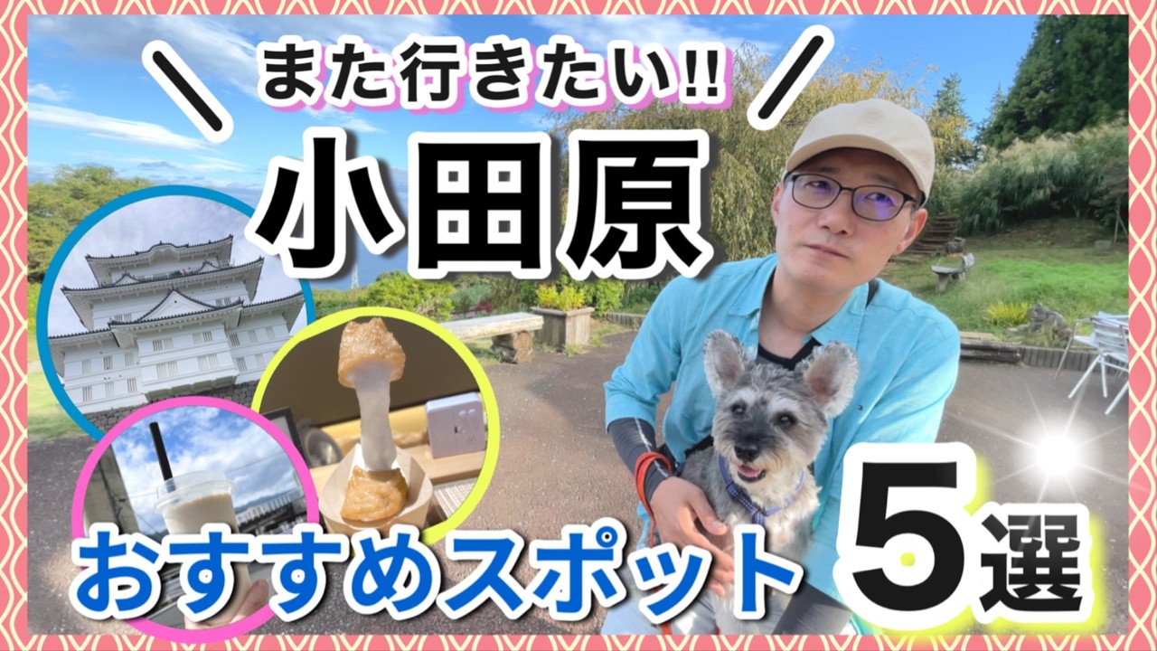 【犬連れ旅行｜小田原観光】小田原城・ミナカ小田原・一夜城を巡る秋の食べ歩き旅♪