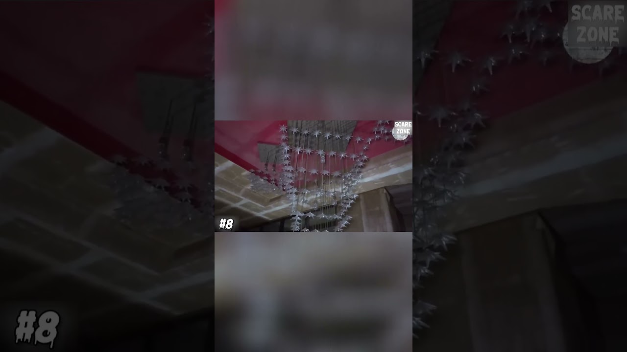 Creepy Footage:  An Unseen Presence Captured on Camera