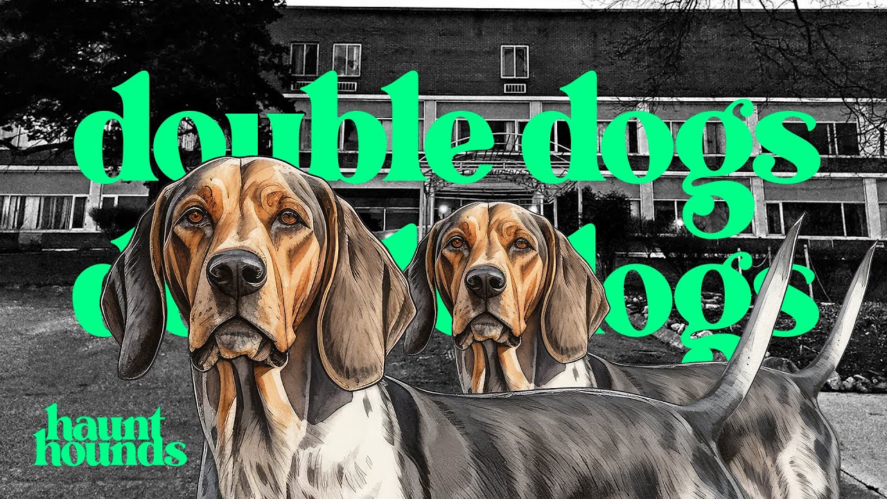 Return To Old South Pittsburg | DOUBLE DOGS
