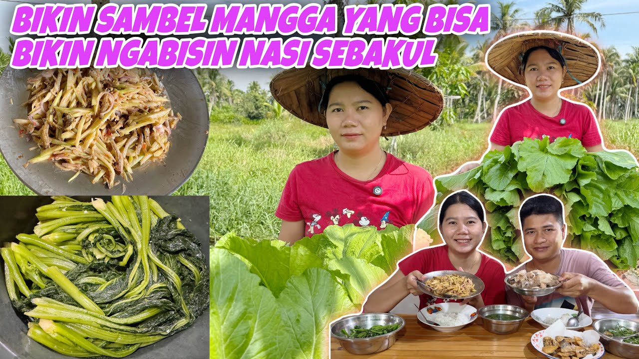 SAWI BESAR SIAP PANEN DAN LANGSUNG DI JEMUR UNTUK BIKIN SAWI ASIN,YUK LIHAT PROSES NYA