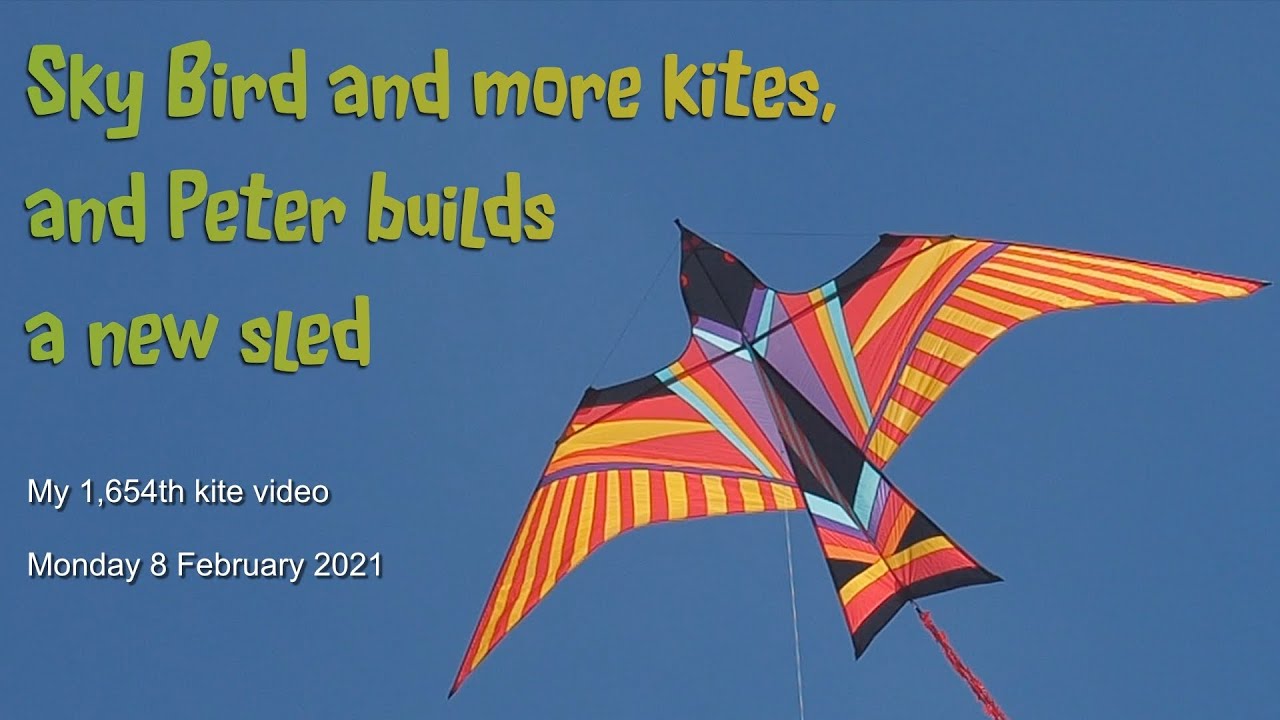 Sky Bird, Trilobite, and more kites - and Peter builds a new sled