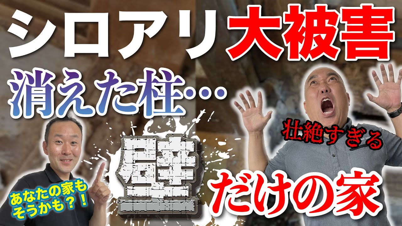 【ネット情報を信じるな】シロアリ屋の大暴露！倒壊寸前？！悲惨な一軒家【シロアリ駆除とカビ対策】
